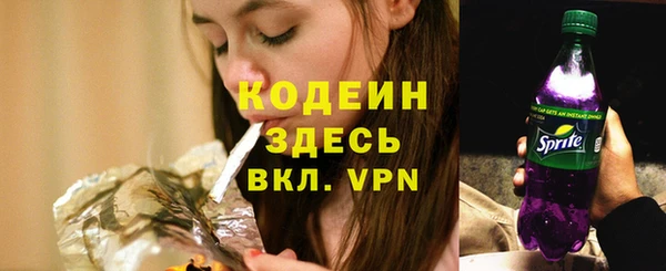 ПСИЛОЦИБИНОВЫЕ ГРИБЫ Горно-Алтайск